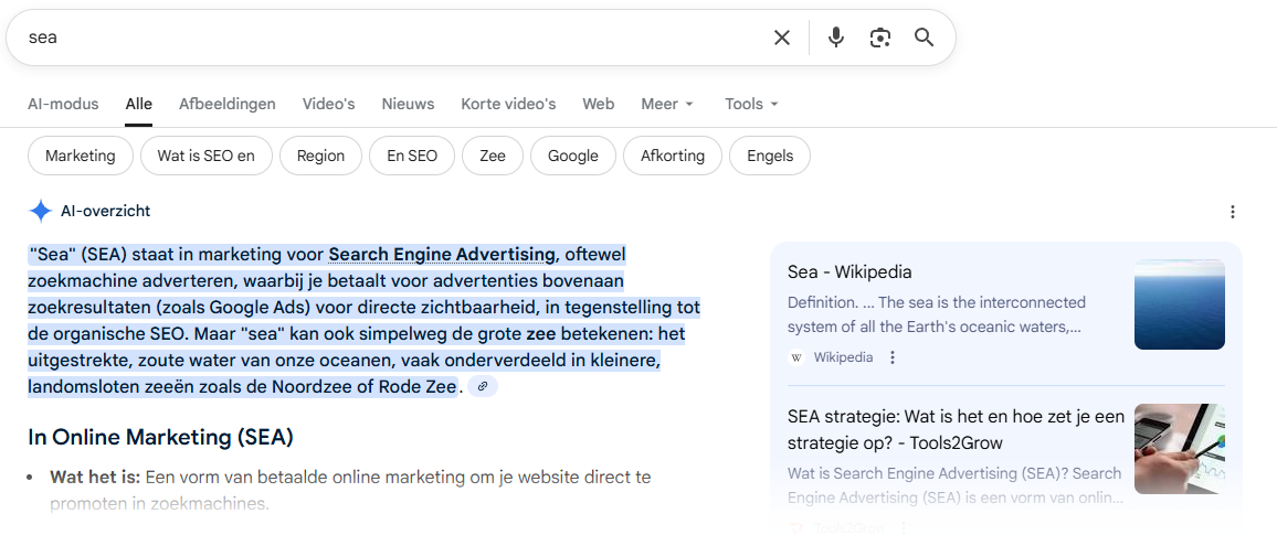 AI overzicht Google Zoeken